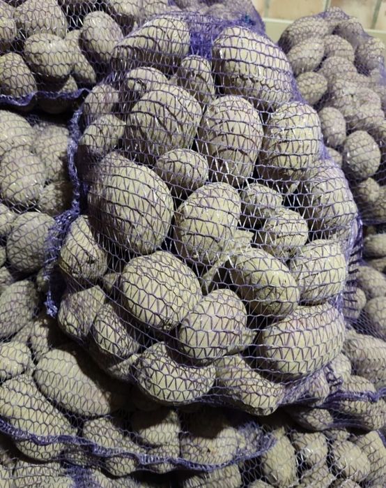 Ziemniaki małego kalibru