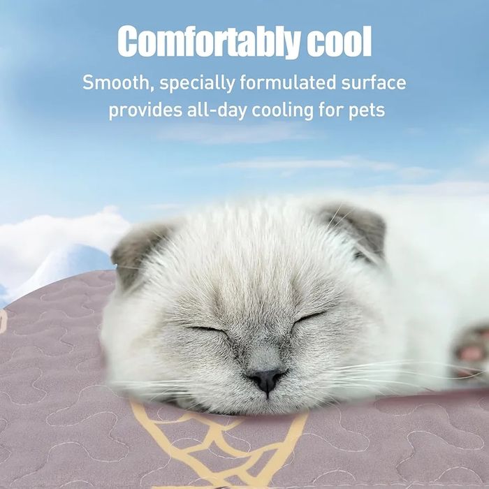 Mata dla kota podkładka