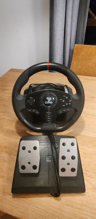 Kierowca Cobra gt900 rally