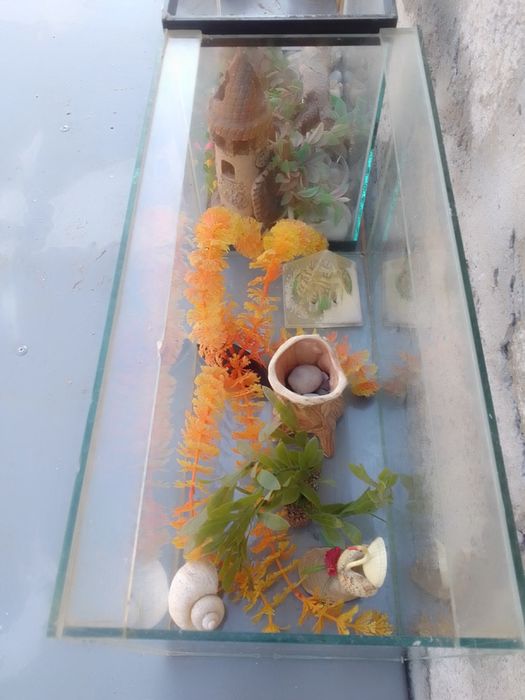 Акваріум для рибок 2 шт