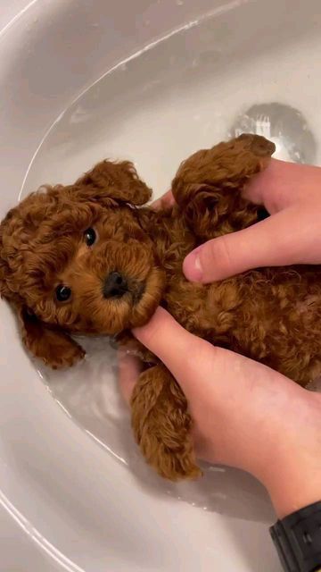 Малюк із характером сонечка