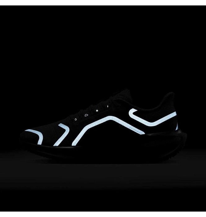 Кросівки для бігу чоловічі Nike Air Zoom Pegasus 41 Gore-Tex (FQ1356-0