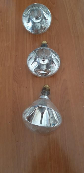 Żarówka 250 W do promiennika ciepła