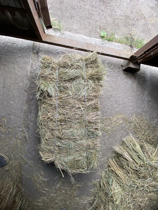 Продам сіно лугове і люцерну