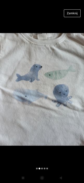 Body białe newbie 56