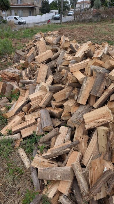 Lenha  Saco +/- 20kgs (seca)