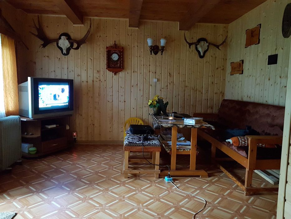 Zdjęcie 2
