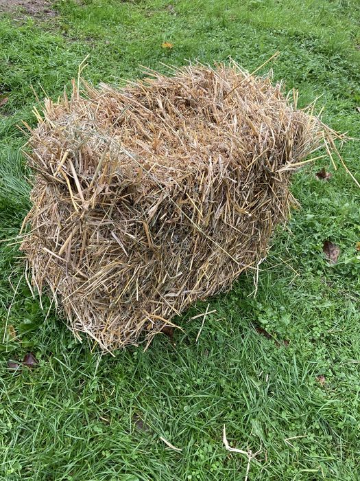 Kostki słomy na sprzedaż