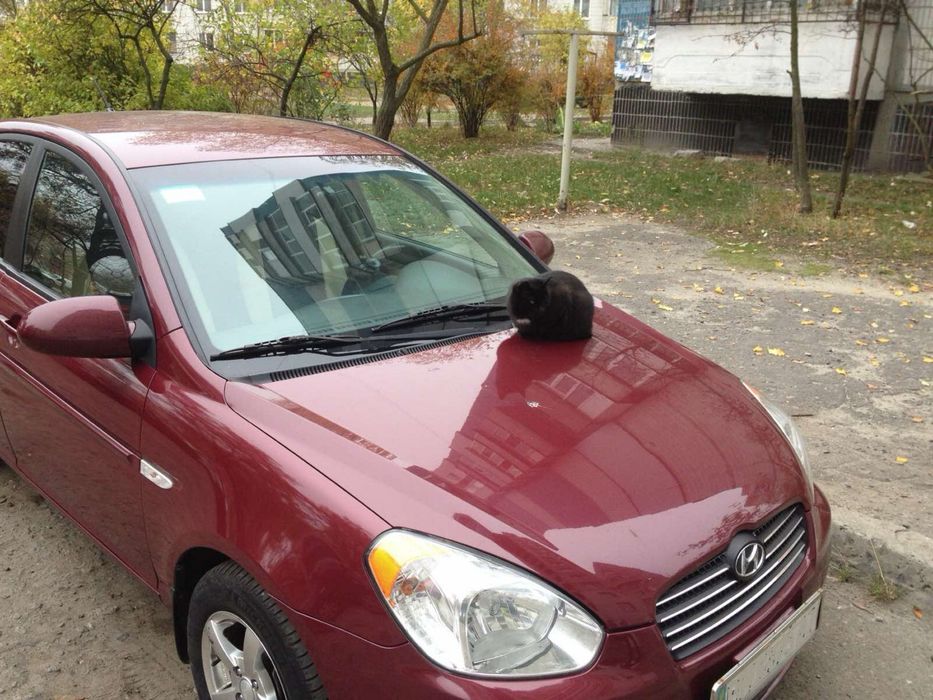 Hyundai Accent 1.6 автомат