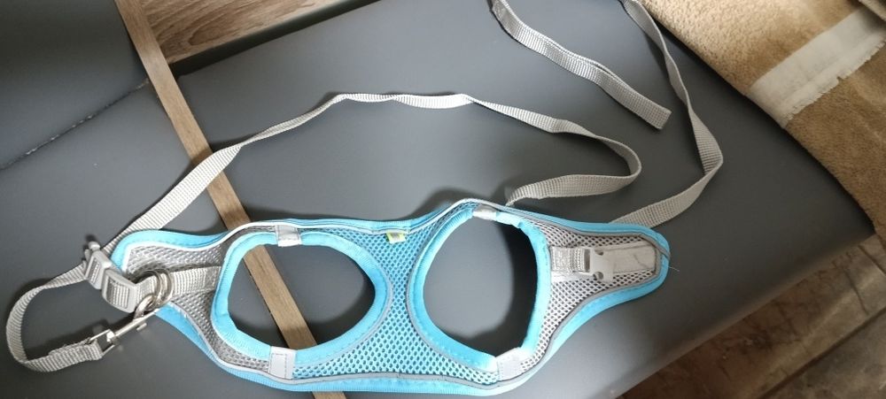 Для маленької собачки