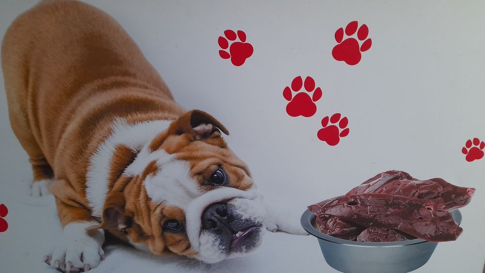 М'ясо субпродукти кістки для собак