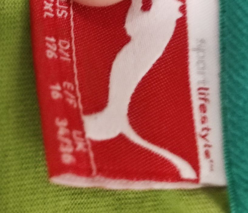Koszulki firmy Puma