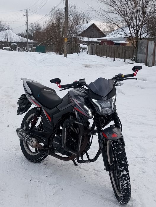 Мустанг фортуна 200