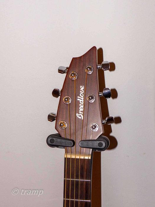 Gitara akustyczna Breedlove Discovery Concert
