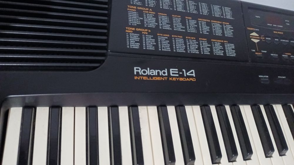 Teclado Roland E-14