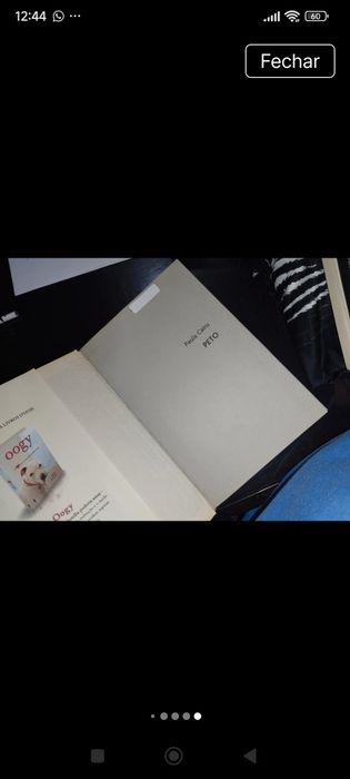 Peto a vida de um cão de rua que foi salvo pelo amor