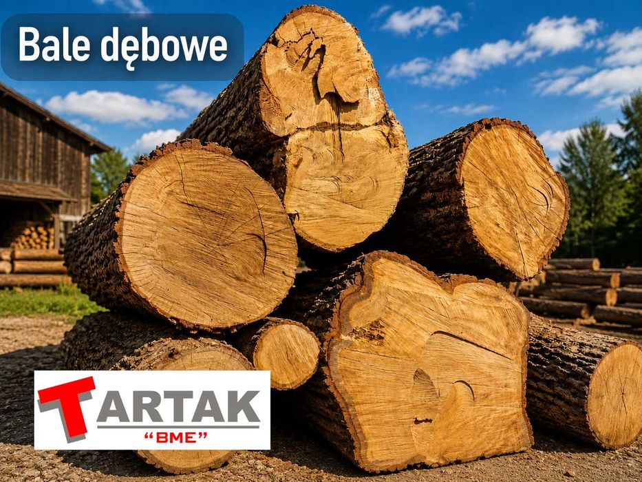 Dąb Bale dębowe Drewno dębowe Belki Kłoda dębowa Tartak