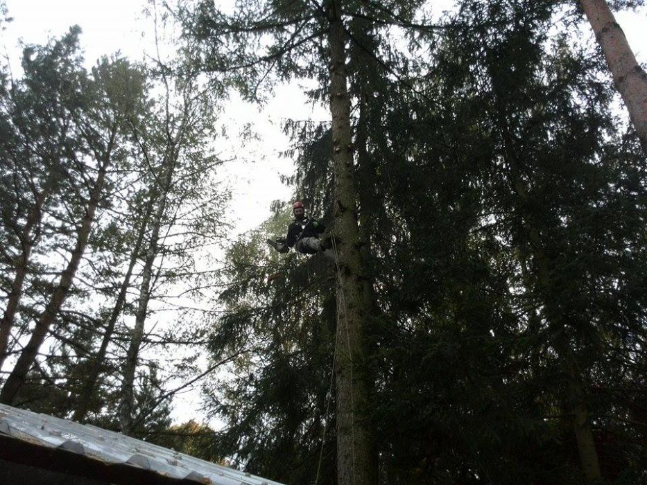 Wycinka drzew,skracanie koron,podcinka.Lubelskie.