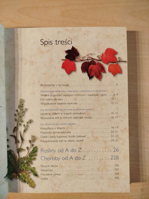 Lecznicze dary natury 200 uzdrawiających ziół