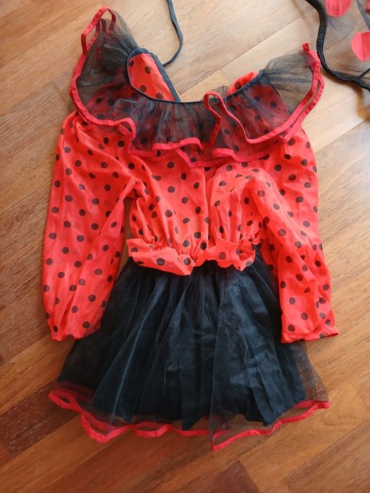 Strój biedronki dla dziecka