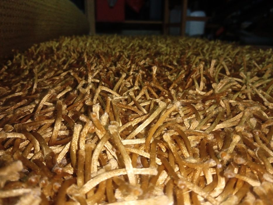 Vendo Carpete/ tapete