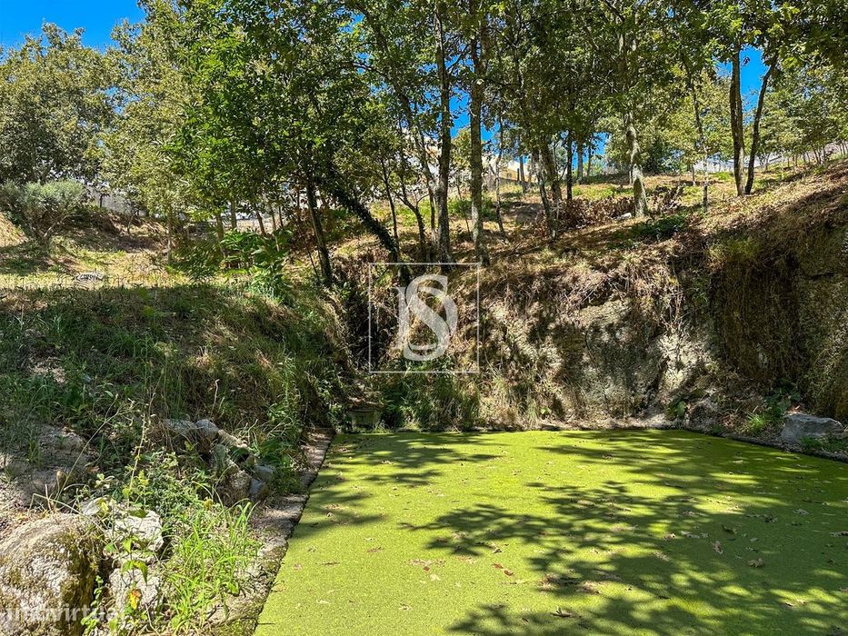 Terreno  Venda em Lufrei,Amarante