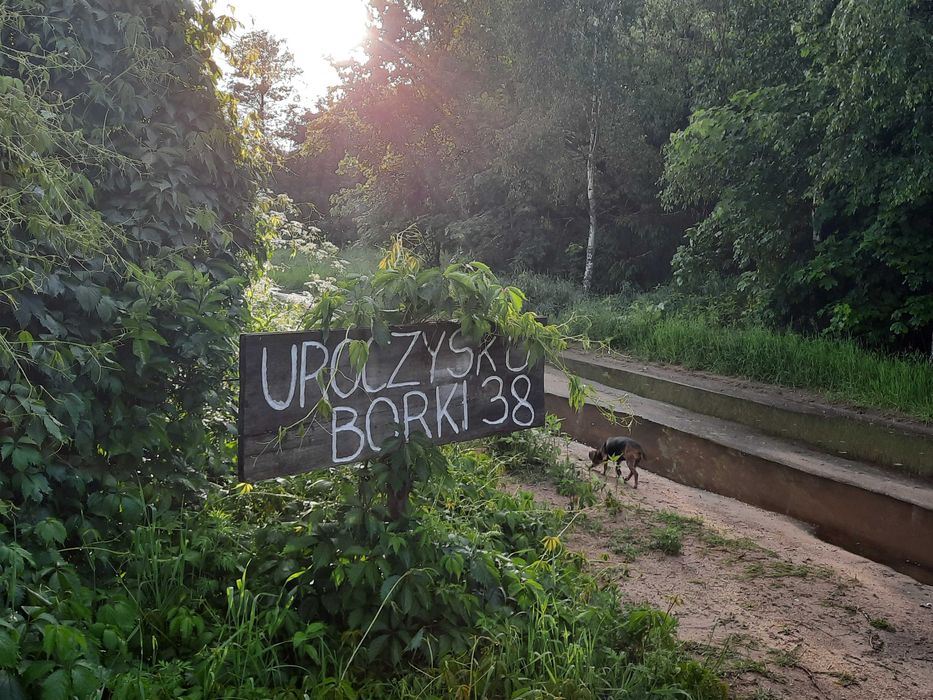 Noclegi Podlasie Supraśl Borki WOLNY WEEKEND w Uroczysku Chata z bala