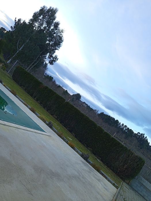 Limpezas e desbastes