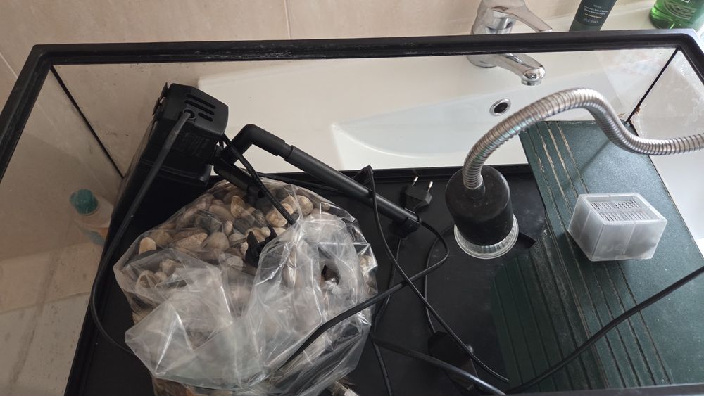 Aquário para tartaruga