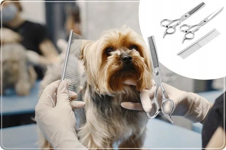 Видео курс Грумер, стрижка собак и кошек