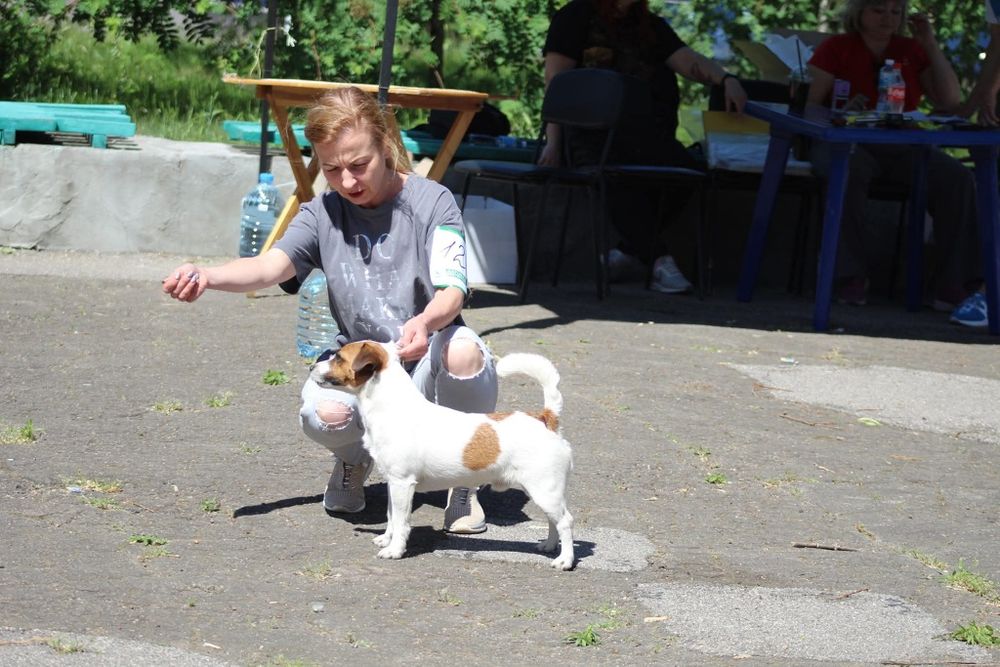 Готові їхати до нових родин вже сьогодні