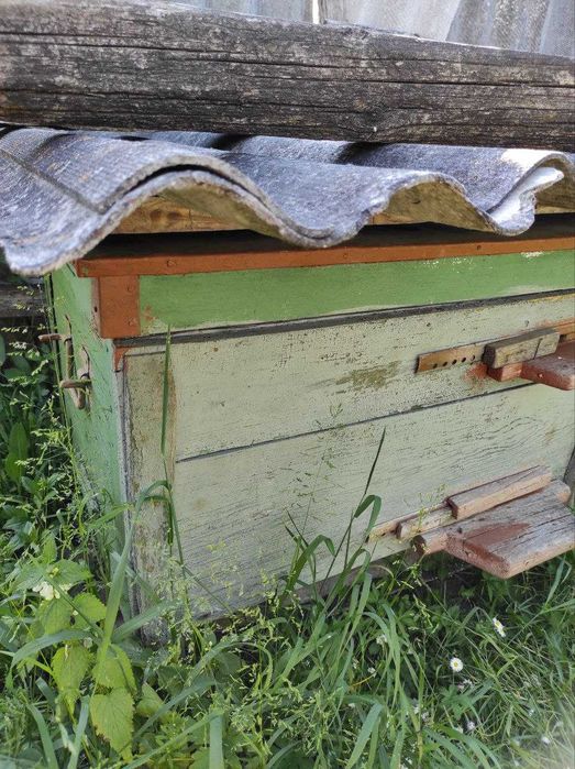 продаю вулики з бджолами і порожні з рамками