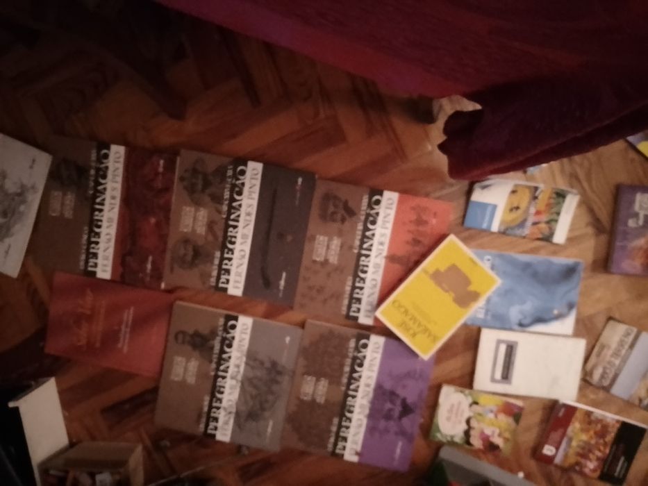 Grandes Saldos Saramago/outros raros/BD juvenil e muitos mais Desde 2E