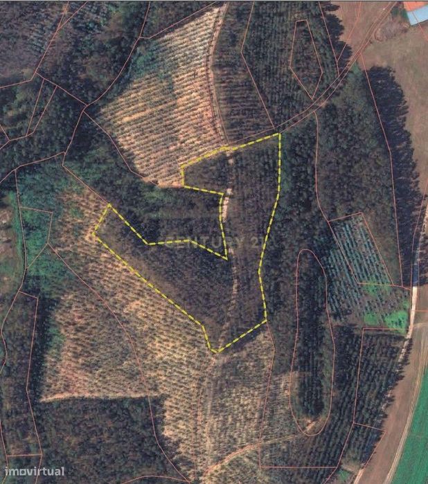 Terreno Rural de 9720 m² em Marco Lobo, Serra D’EL Rei – Ideal para Pr