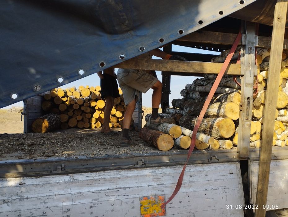 Дрова берёза метровка 2300