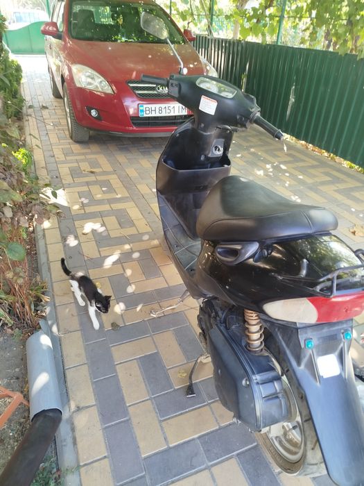 Suzuki ZZ Inch Up Sport