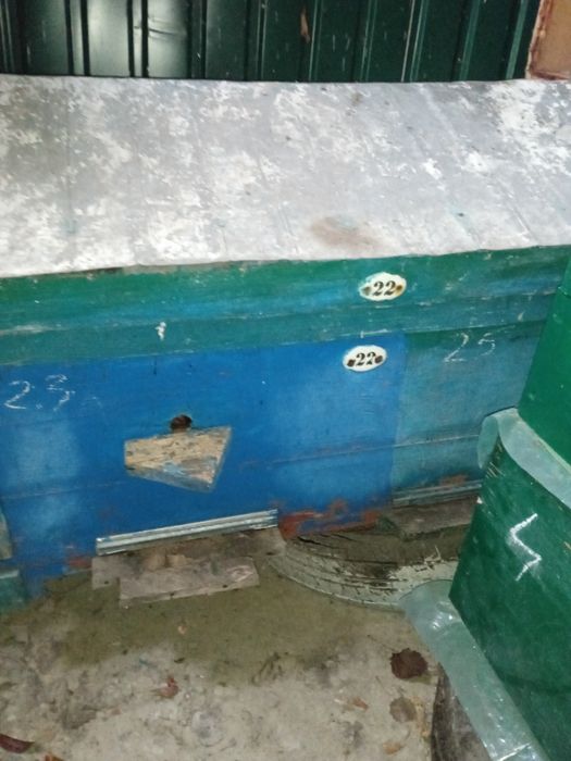 Вуликі дадан б,у