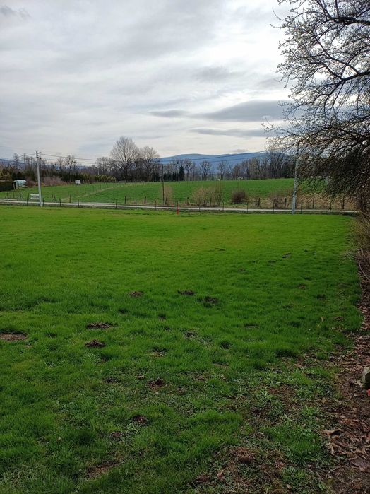 działki budowlane sprzedam