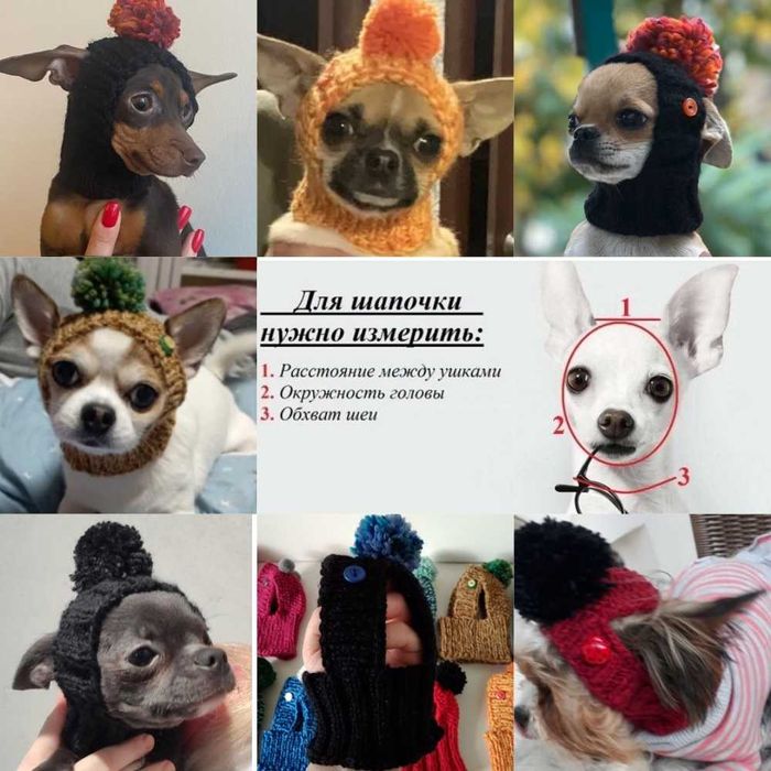 шапка на собаку мелкой породы чихуахуа йорк шпиц крысарик той терьер