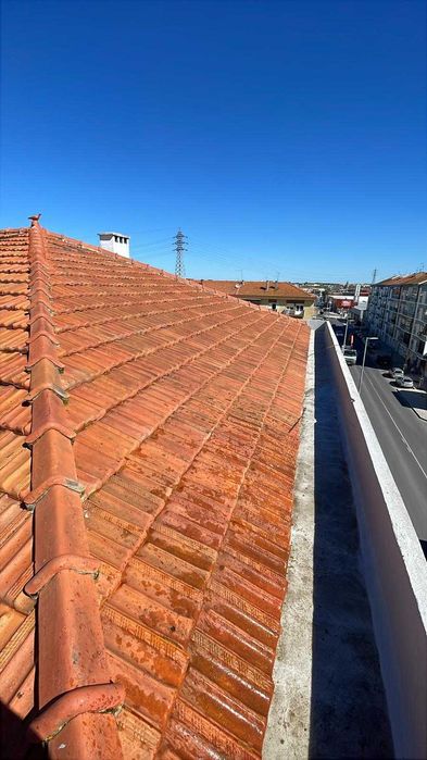Limpeza e Restauração de Telhados