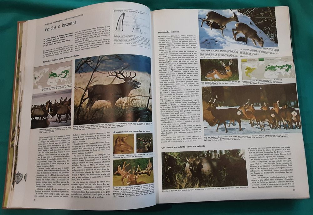 Animais da terra, dos Polos ao Equador