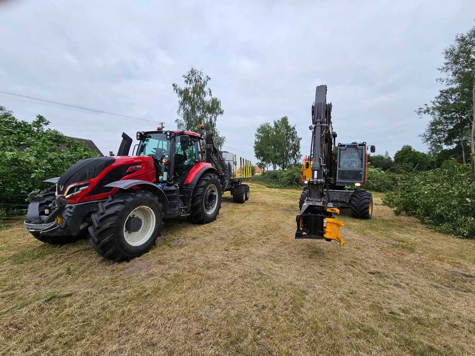 Wycinka KARCZOWANIE SAMOSIEWU/Sadów/Cięcia trzebieżowe/Działki inwest