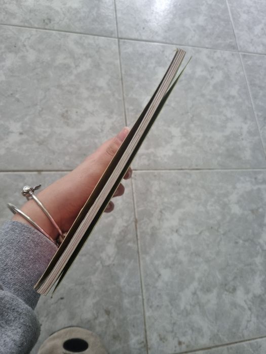 Livro Crianças - Winx