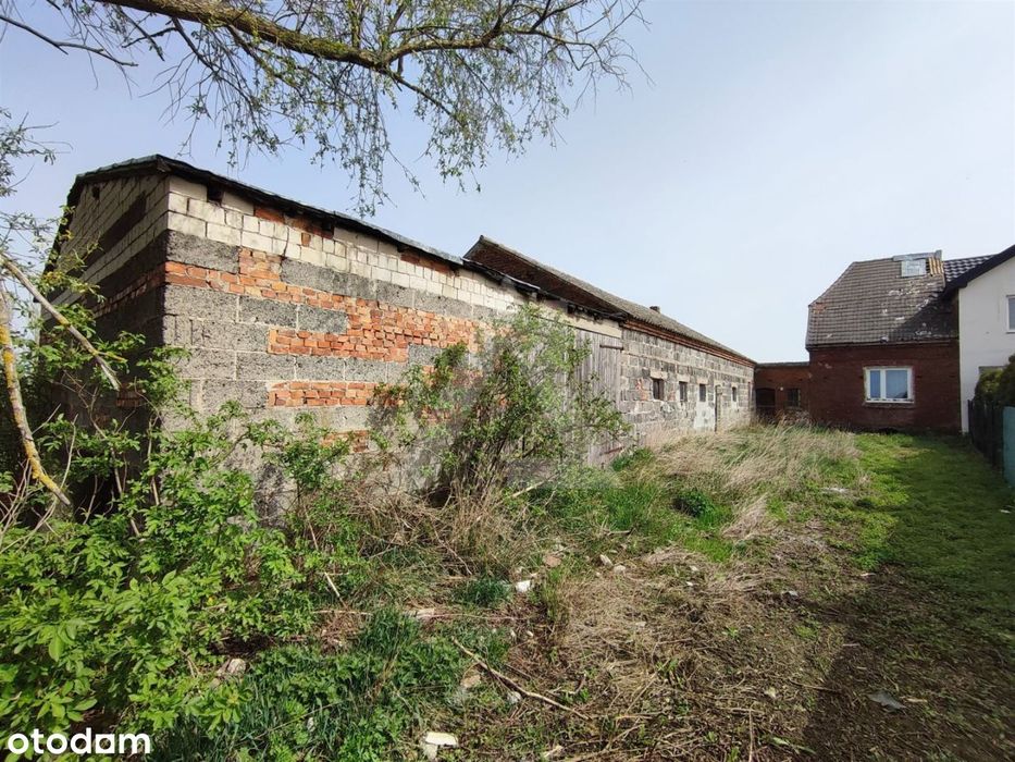 Dom do generalnego remontu w malowniczej okolicy