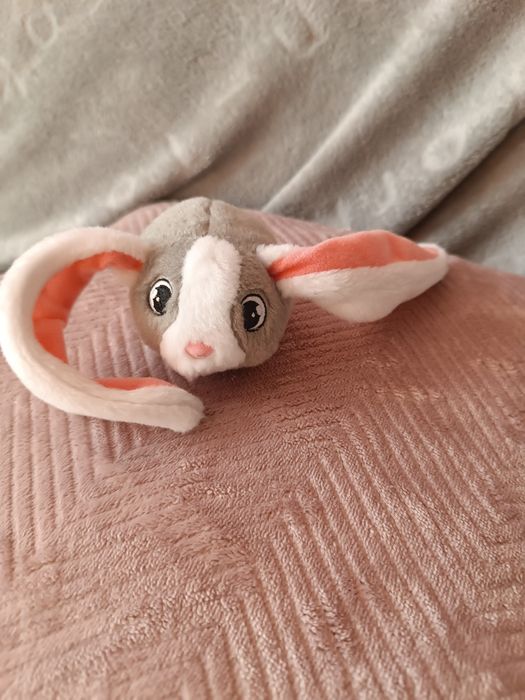 TM bunnies  króliczki  5szt