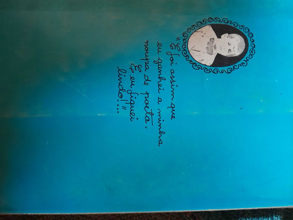 O meu pé de laranja lima