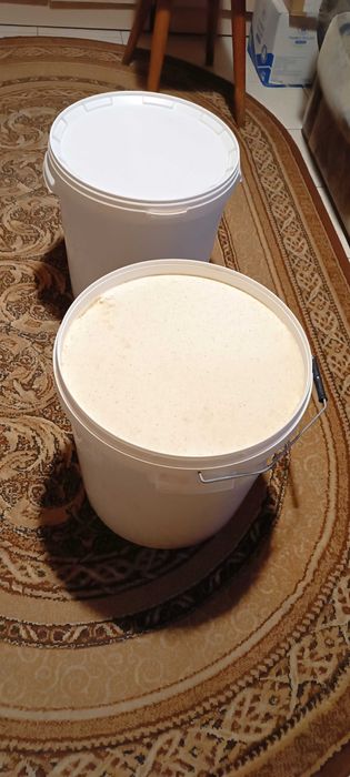 Miód rzepakowy w wiadrach