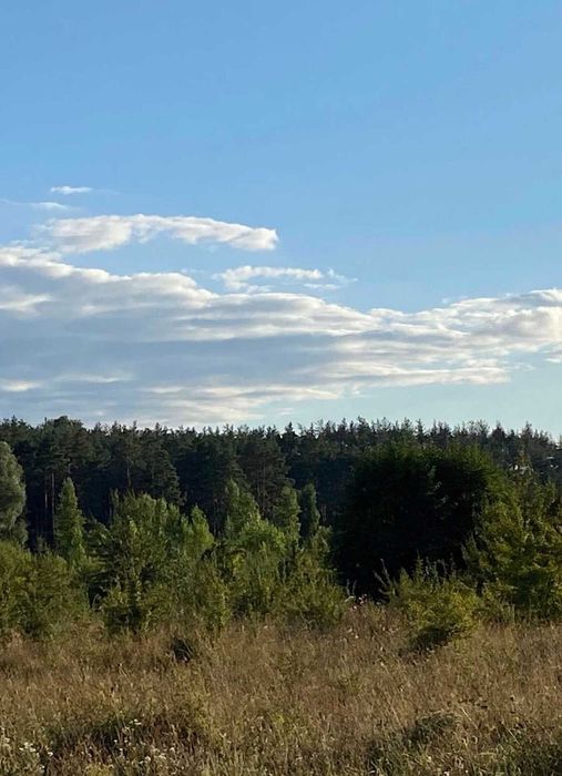 С.Ходосівка, вул.Садова, продаж ділянки 12 сот.