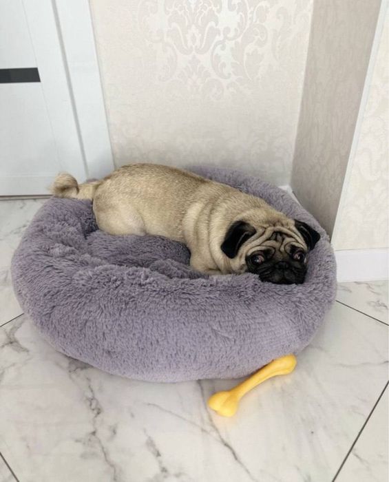 Лежанка для собак та котів «Пончик»