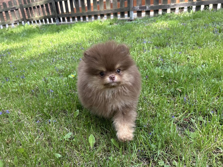 Przesliczny chlopiec